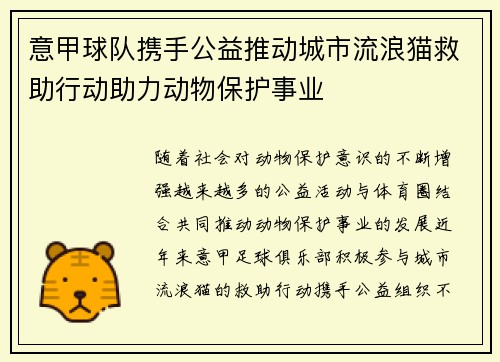意甲球队携手公益推动城市流浪猫救助行动助力动物保护事业