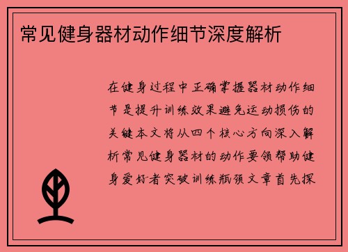 常见健身器材动作细节深度解析